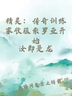 精灵:传奇训练家收服索罗亚开始