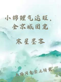 小锦鲤气运旺,全京城团宠