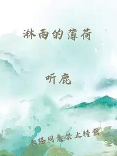 淋雨的薄荷