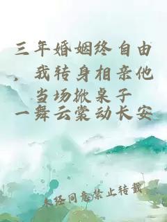 三年婚姻终自由，我转身相亲他当场掀桌子