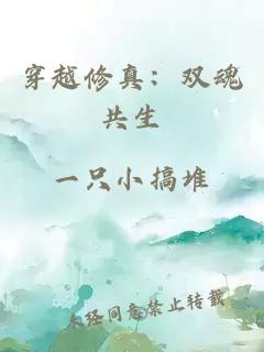 穿越修真：双魂共生