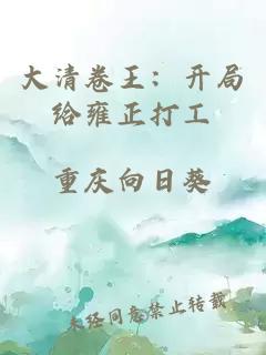 大清卷王：开局给雍正打工