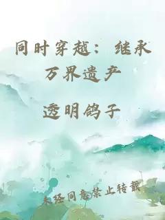 同时穿越：继承万界遗产