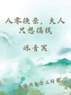 八零换亲，夫人只想搞钱