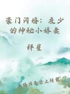 豪门闪婚：夜少的神秘小娇妻