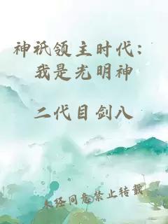 神祇领主时代：我是光明神
