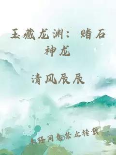 玉藏龙渊：赌石神龙