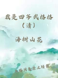 我是四爷武格格（清）