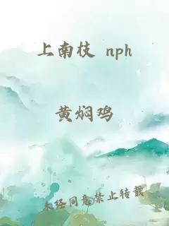上南枝 nph