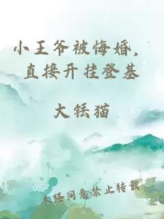 小王爷被悔婚，直接开挂登基