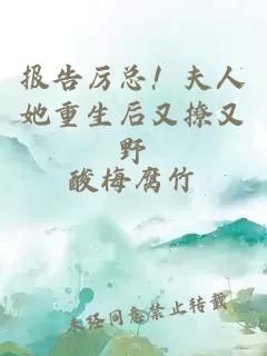 报告厉总!夫人她重生后又撩又野