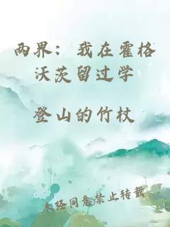 两界：我在霍格沃茨留过学