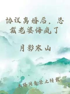 协议离婚后，总裁老婆悔疯了