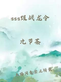 sss级战龙令