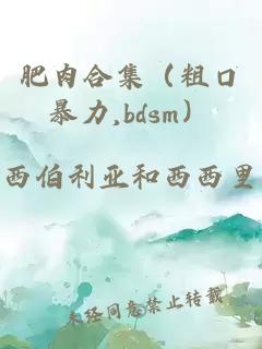 肥肉合集(粗口暴力,bdsm)