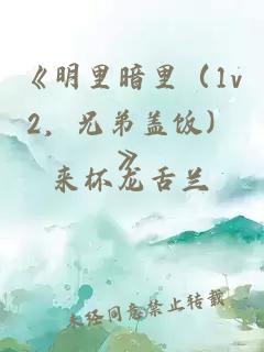 《明里暗里（1v2，兄弟盖饭）》