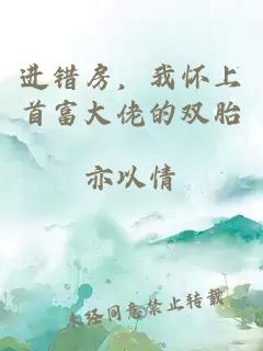 进错房，我怀上首富大佬的双胎