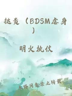 挞责(BDSM虐身)