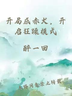 开局成赤犬,开启狂躁模式