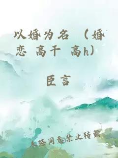 以婚为名 （婚恋 高干 高h）