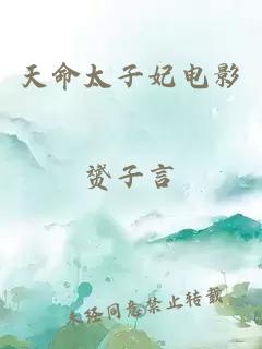 天命太子妃电影